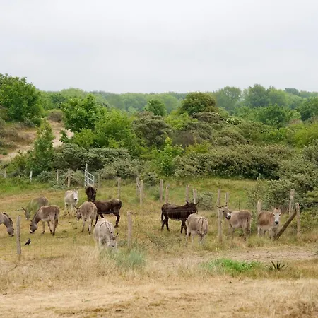 Ruim, Stijlvol Gerenoveerd Voor 4 Personen Vlak Bij Zee En De Duinen