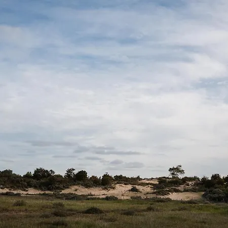 Ruim, Stijlvol Gerenoveerd Voor 4 Personen Vlak Bij Zee En De Duinen *