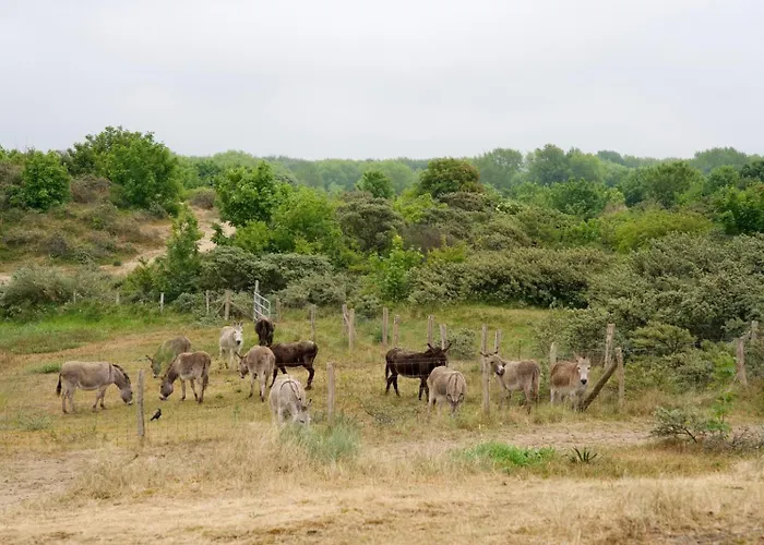 Spacious Luxury By Lets Go Getaways